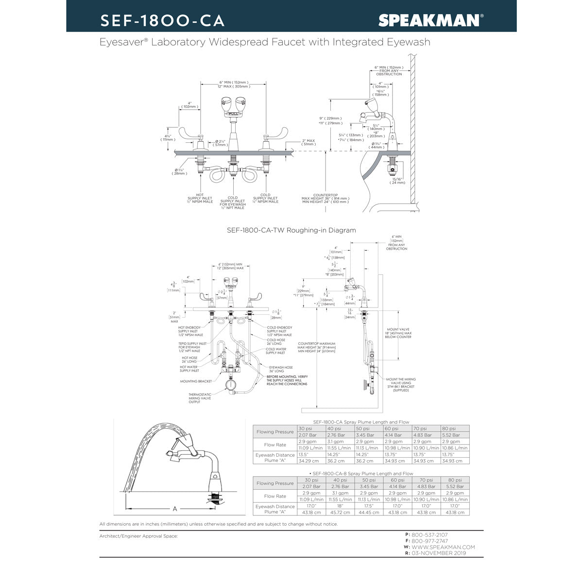 Speakman SEF-1826-TW Electronic Eyesaver(R) Eyewash and Lavatory Faucet, with Thermostatic Mixing Valve