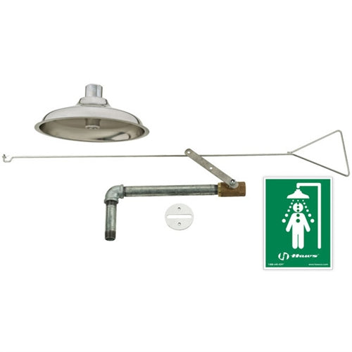 Haws 8169 Flush To Ceiling Drench Shower